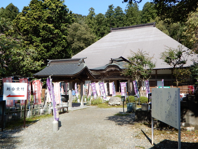 DSCN4449