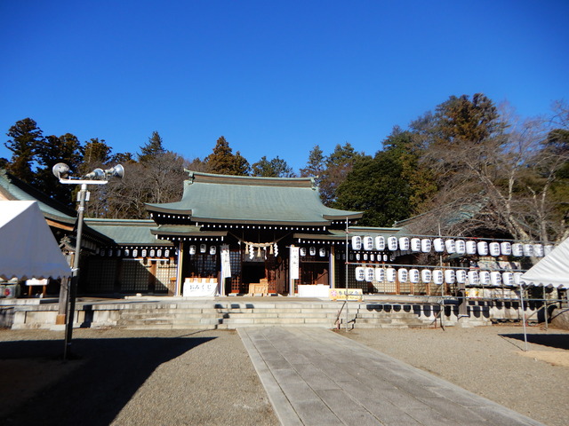 DSCN4706