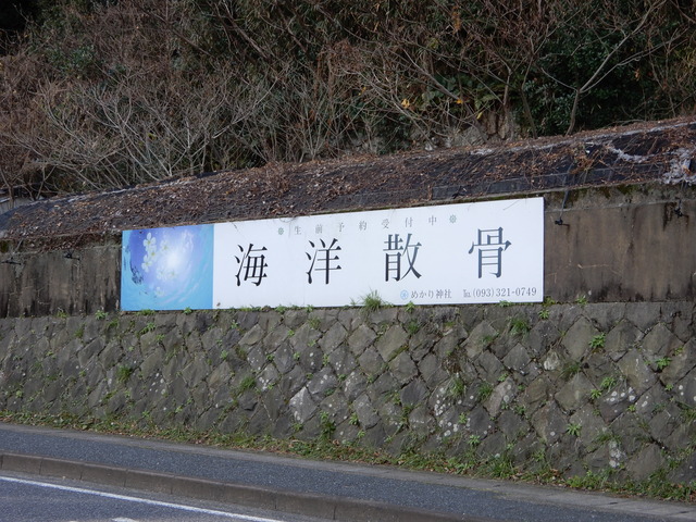 DSCN3343