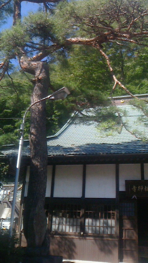 NEC_0421