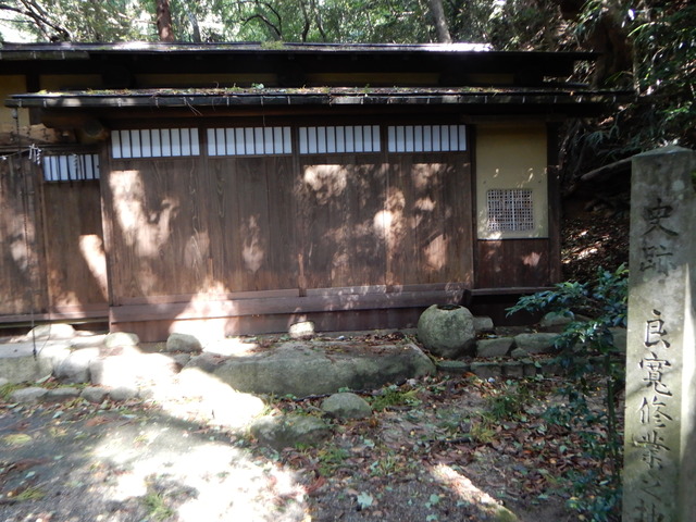 DSCN4418