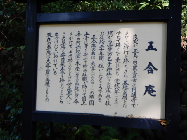 DSCN4453
