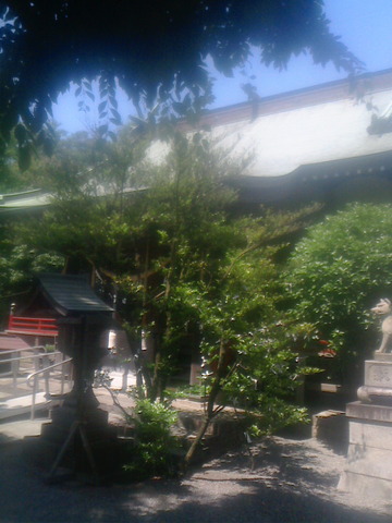 NEC_0065