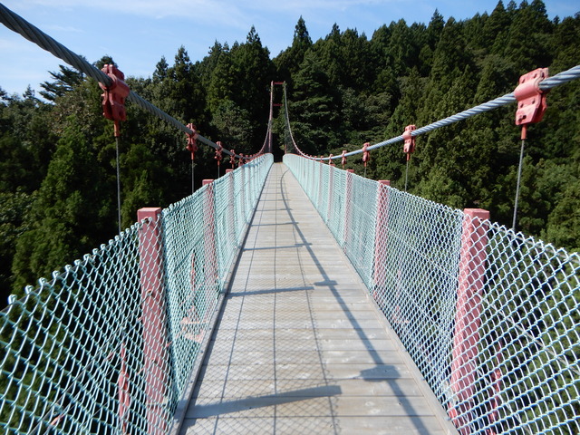 DSCN4456