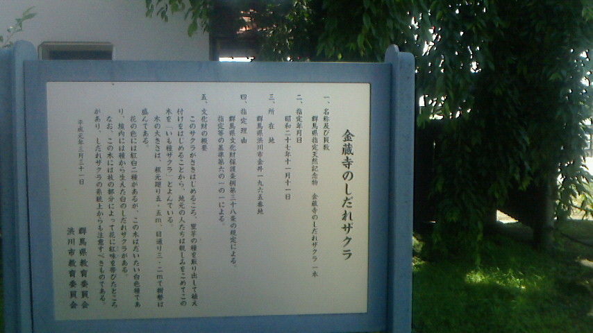 NEC_0298