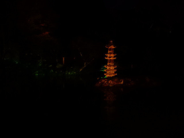 DSCN5020