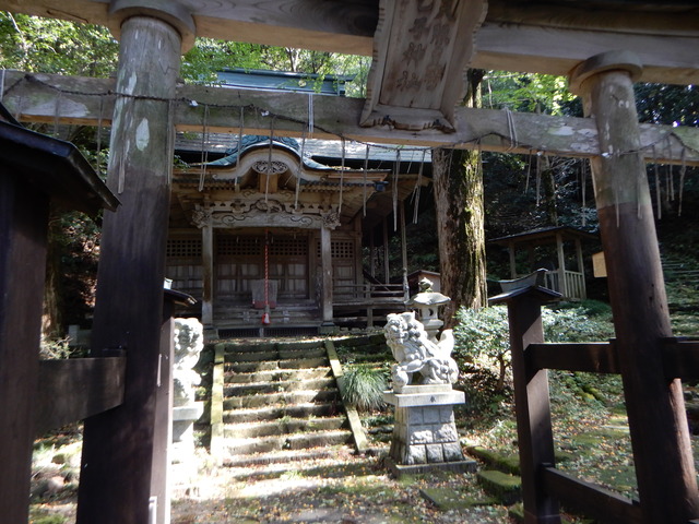 DSCN4416