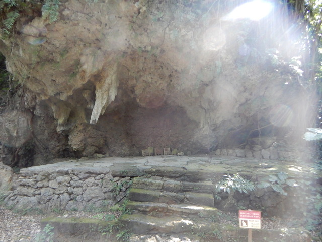 DSCN4621