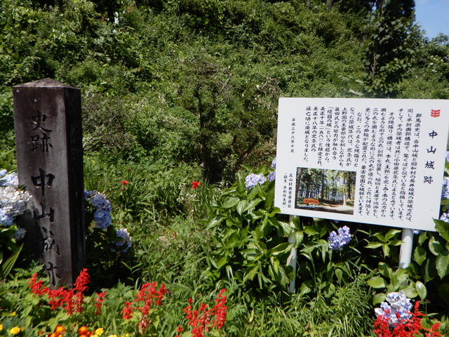 DSCN4953
