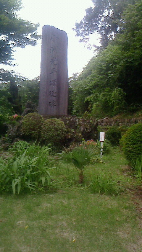NEC_0309