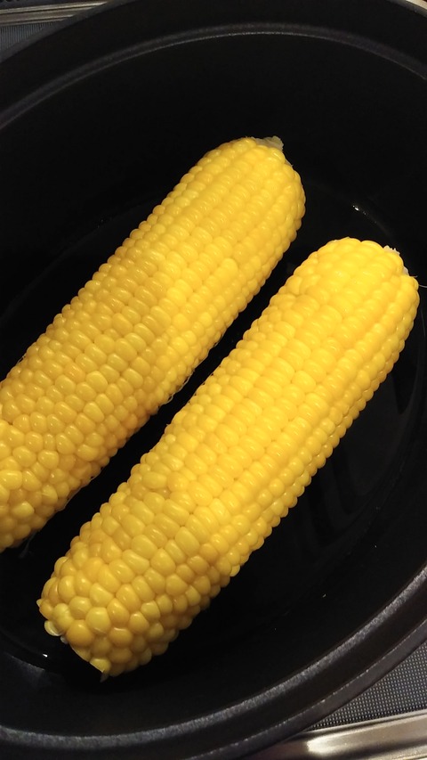 IMG00237