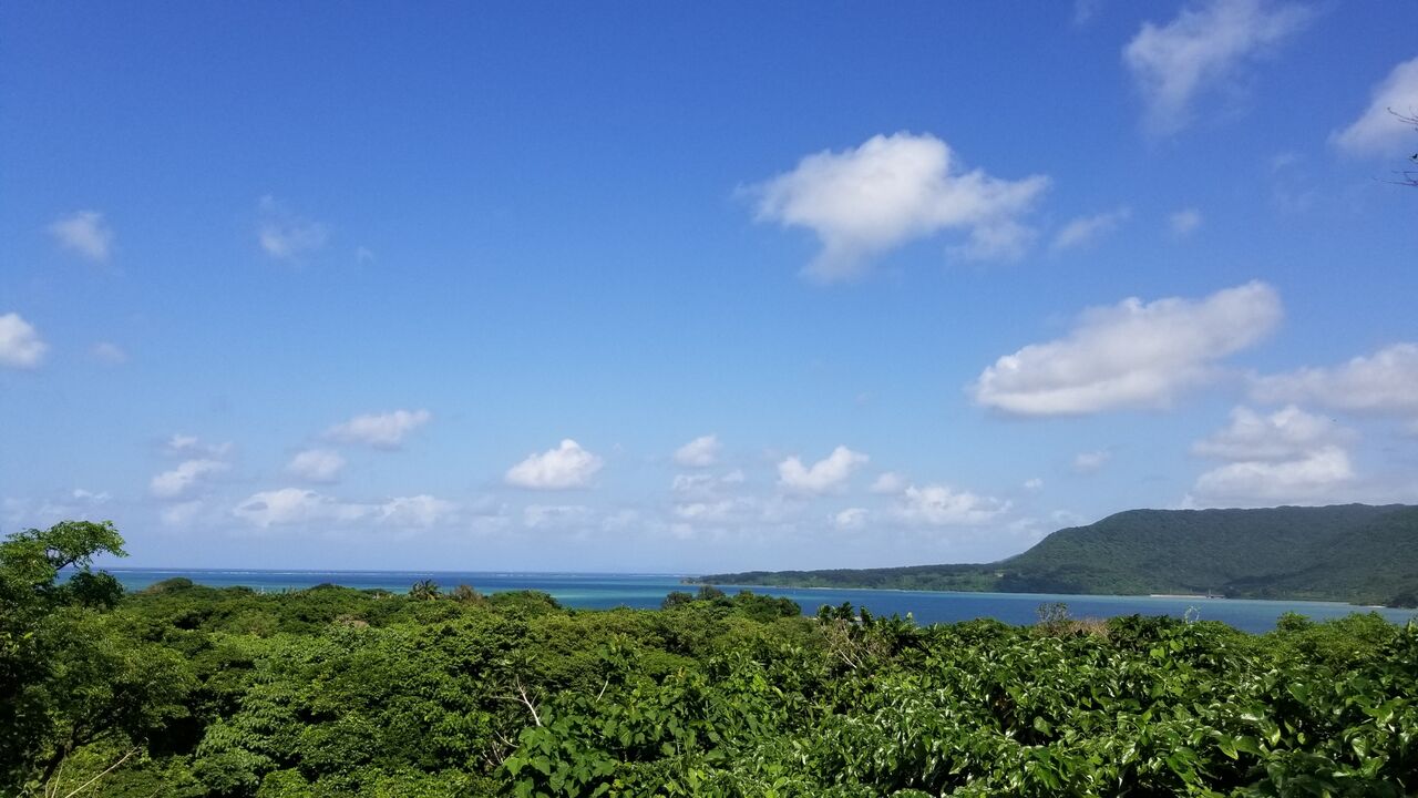 4月26日 かなり夏らしくなって来ました 西表島 ミトレアキャンプ場ブログ 4月26日 かなり夏らしくなって来ました 西表島 ミトレアキャンプ場ブログ