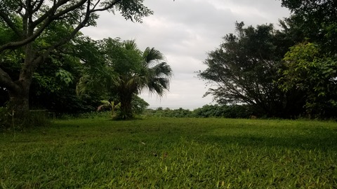20210331_181315
