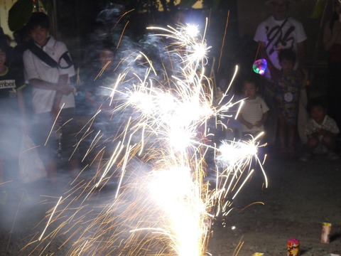 image_01