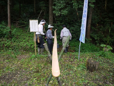 image_04