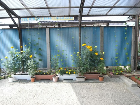 garden_08