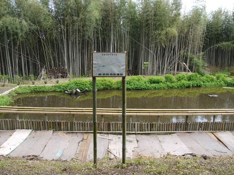 image_09