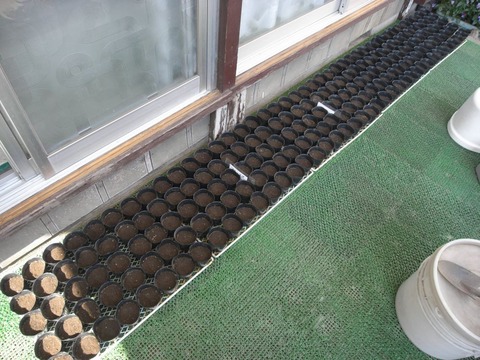 garden_01