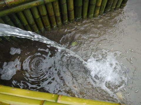 pond_12