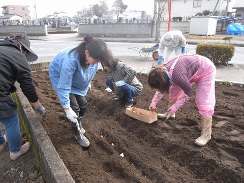 garden_01
