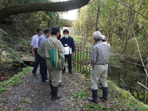 image_01