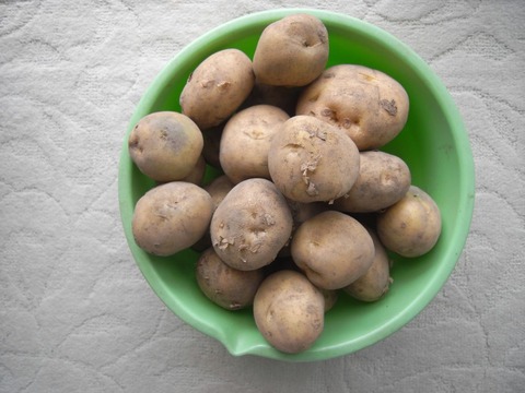 potato_01