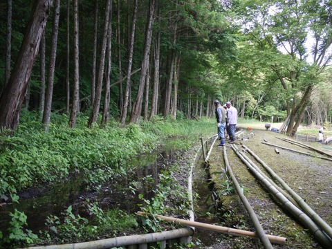 image_06