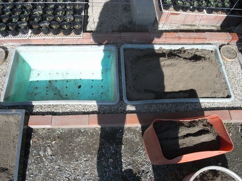 garden_01