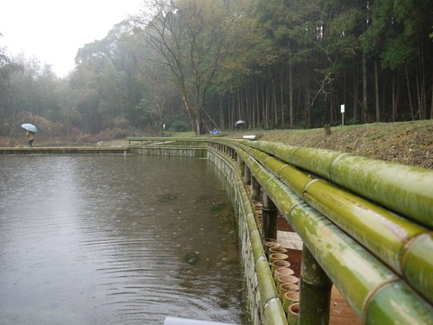 pond_06