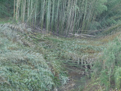 image_05