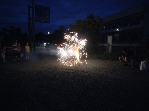 festival_84