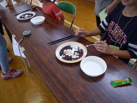 image_05