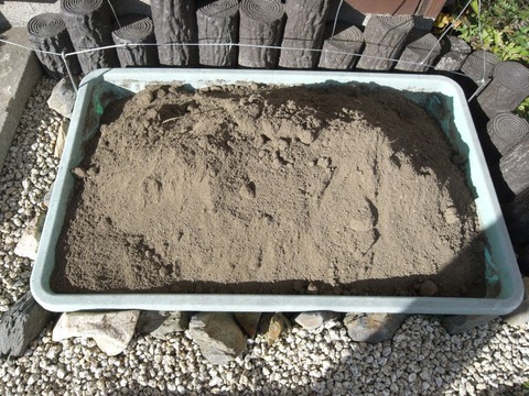garden_06