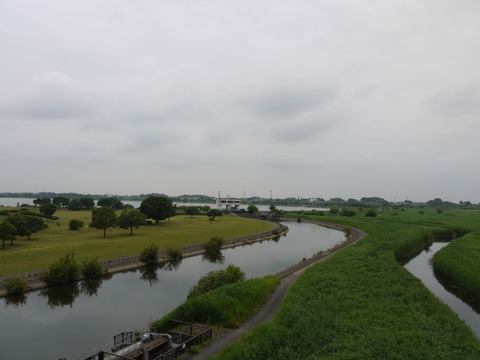 image_01