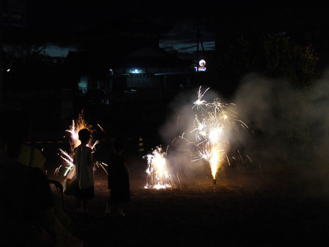 fireworks_07