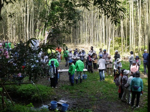 image_07