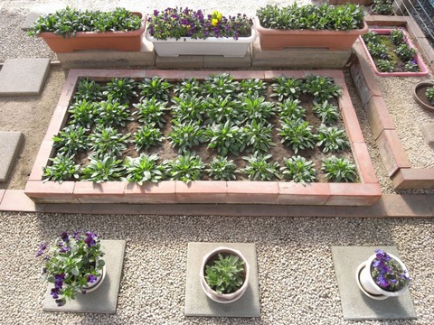 garden_03
