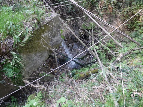 image_03