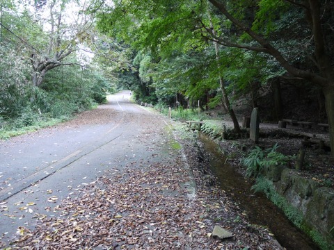 image_02