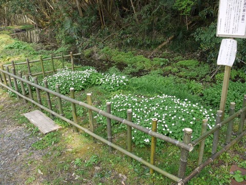 image_02