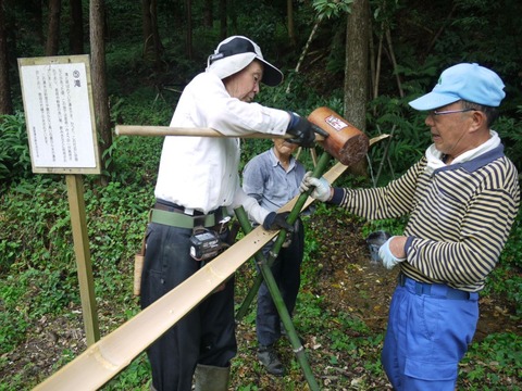 image_05