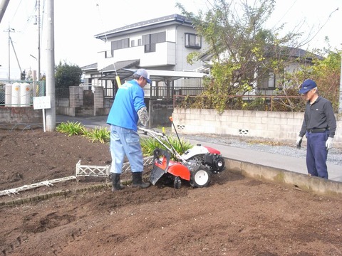 garden_05