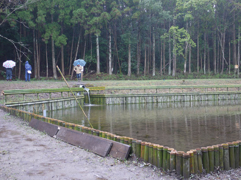 pond_21