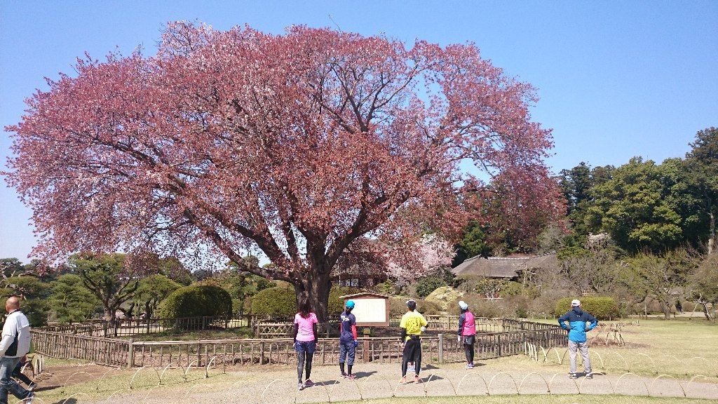 イメージ 5