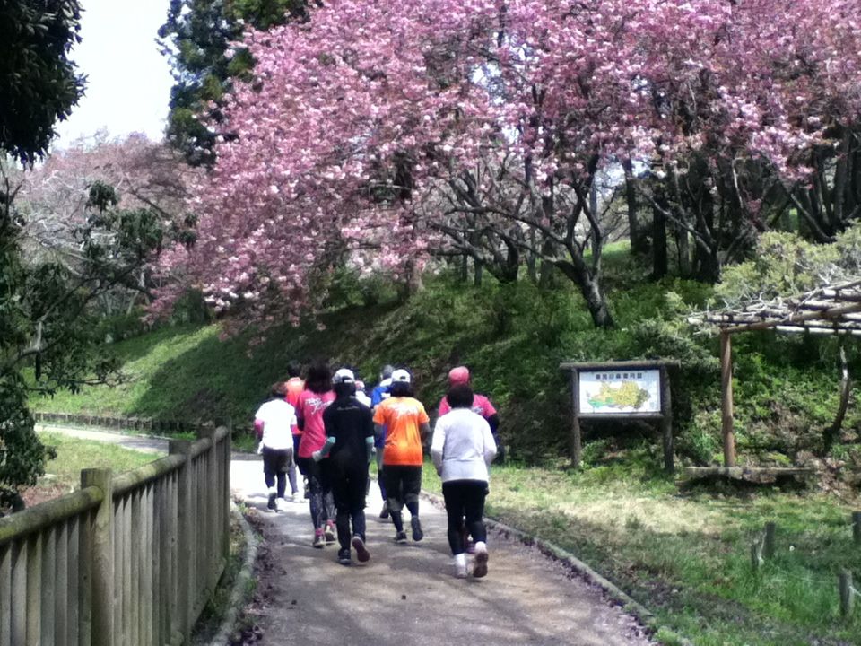イメージ 2