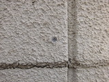 CIMG0065