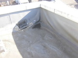 CIMG1156
