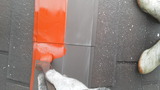 CASLODMG