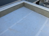 CIMG1225