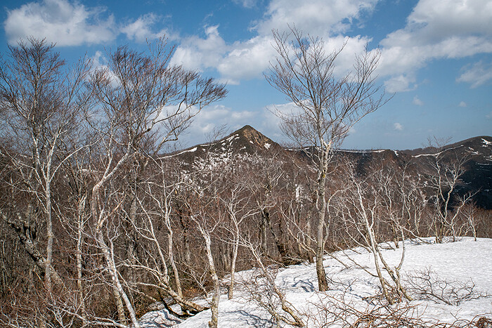 DSC_4324-1